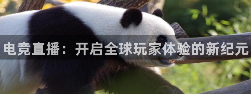 高德娱乐的意思：电竞直播：开启全球玩家体验的新纪元