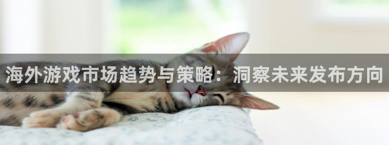 高德娱乐官方登录网址：海外游戏市场趋势与策略：洞察未来发布方