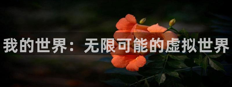 高德娱乐娱乐是真的吗：我的世界：无限可能的虚拟世界