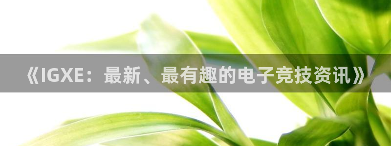 高德娱乐登陆：《IGXE：最新、最有趣的电子竞技资讯》