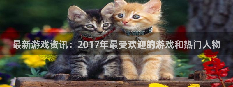 高德娱乐平台负责人：最新游戏资讯：2017年最受欢迎的游戏和