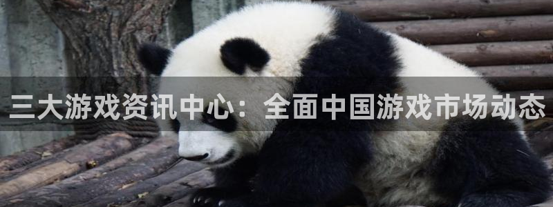 高德娱乐网址官网：三大游戏资讯中心：全面中国游戏市场动态